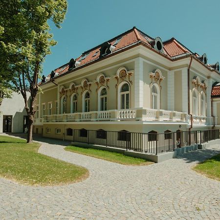 Boutique Hotel Cocosul De Aur Târgu-Mureş 외부 사진